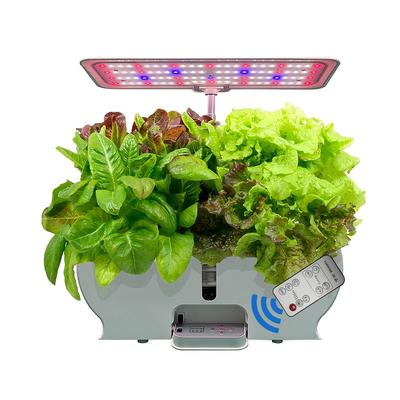 Hydroponic Garden Kit