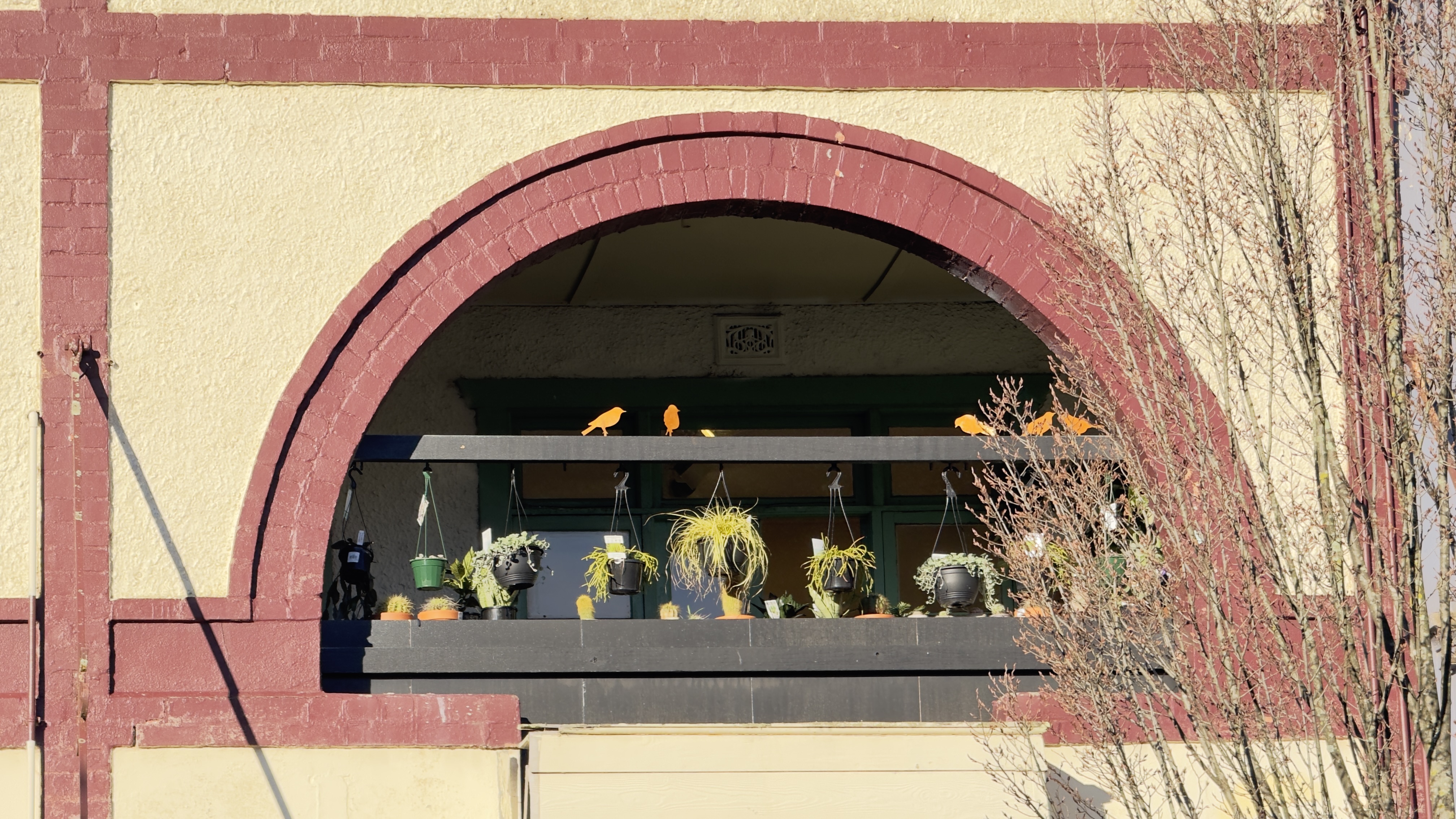 Plant Boutique Banner Image